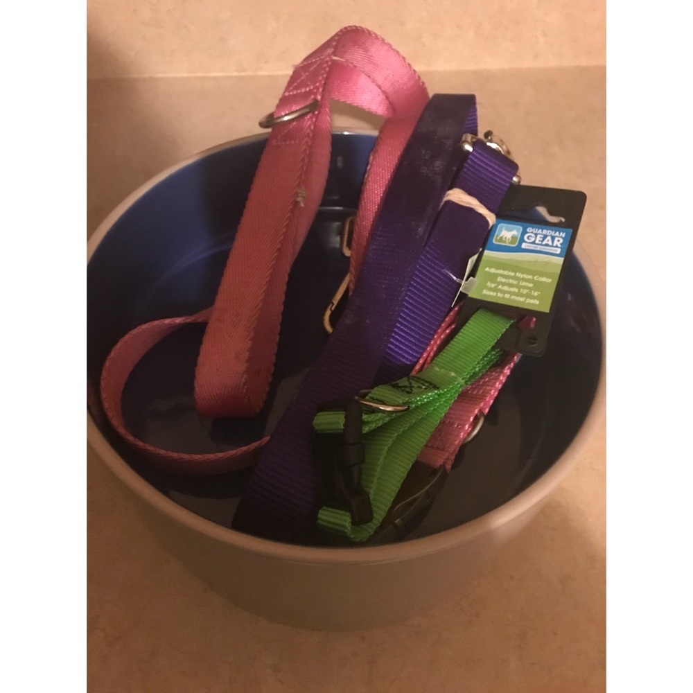 Doggy Bundle Roof Roof